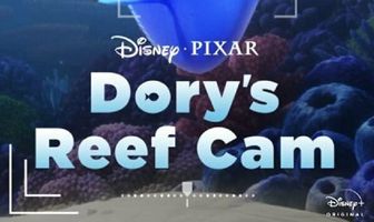Dory's Reef Cam