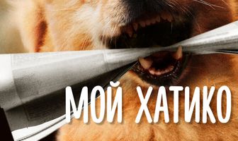 Мой Хатико