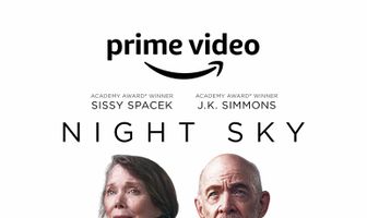 Ночное небо