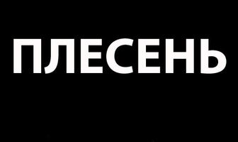 Плесень