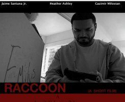 Raccoon