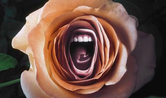 Пронзительно громко