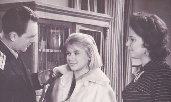 Дикая собака динго