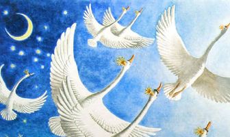 Дикие лебеди