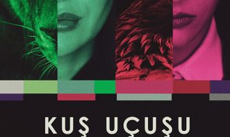 Полёт птицы