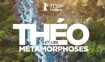 Тео и метаморфозы