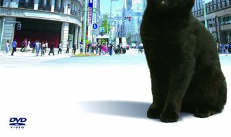 История чёрного кота из Гиндзы