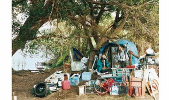 На берегу реки