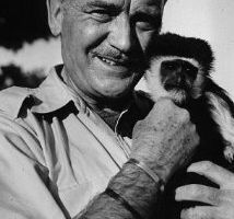 Ковбой в Африке