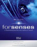 Senses
