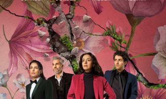 The House of Flowers: The Movie