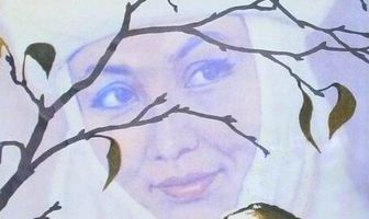 Красное яблоко