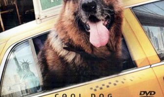 Великолепный пес