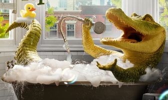 Мой домашний крокодил