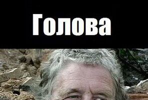 Голова