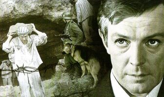 Земля, до востребования