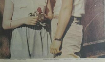 Железное поле