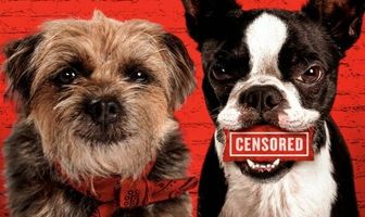 Отвязные дворняги