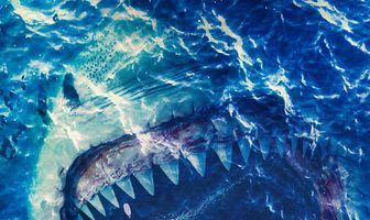 Открытое море: Монстр глубины