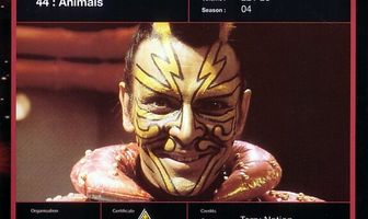 Семёрка Блейка