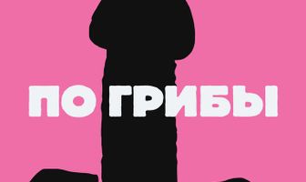 По грибы