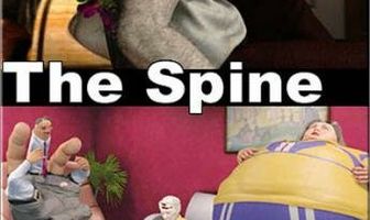 Позвоночник