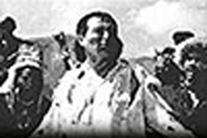 Безбородый обманщик