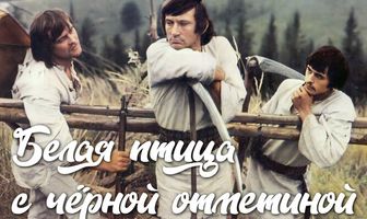 Белая птица с черной отметиной