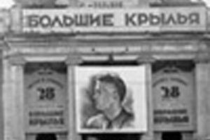 Большие крылья