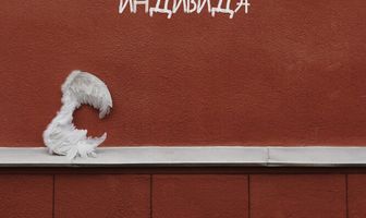 О положительном влиянии небесных сил на брачные планы чувствительного индивида