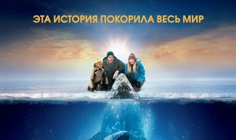 Все любят китов