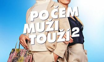 Po cem muzi touzí 2
