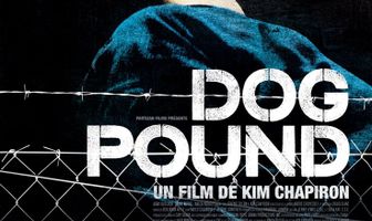 Загон для собак