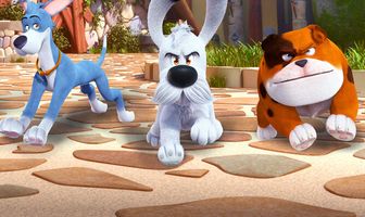 Идефикс и неукротимые