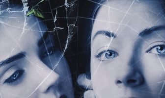 Дневники мотылька