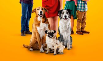 Лохматый патруль