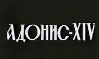 Адонис XIV