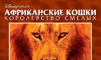 Африканские кошки: Королевство смелых