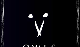 Owls