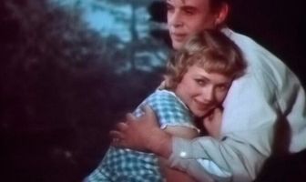 Медовый месяц