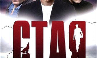 Стая