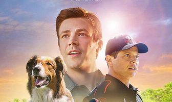 Руби, собака-спасатель