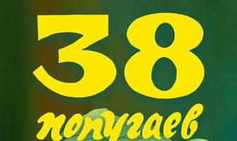 38 попугаев