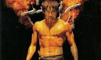 Дерущийся тигр