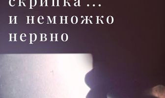 Лошадь, скрипка... и немножко нервно