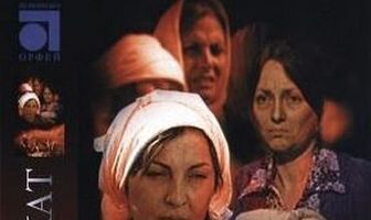 Матриархат