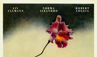 Габи, правдивая история