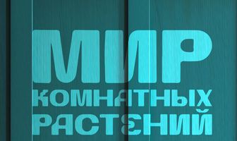 Мир комнатных растений