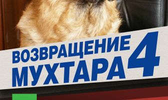 Возвращение Мухтара 4