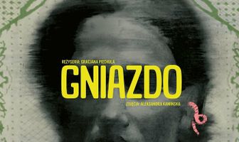 Gniazdo